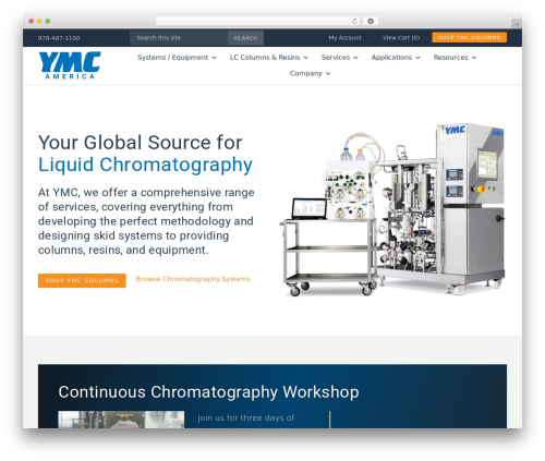 webSURGE Bootstrap WordPress theme - ymcamerica.com