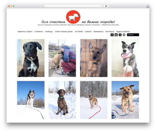 Simple Photoswipe (simple-photoswipe) free WordPress plugin - super-sobaka.ru Simple Photoswipe (simple-photoswipe) free WordPress plugin - super-sobaka.ru
