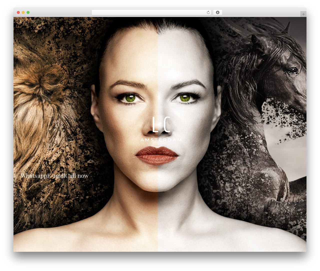 Hello Elementor theme WordPress - legacycompany.nl