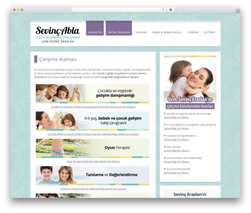 Slider pro WordPress plugin - sevincabla.com