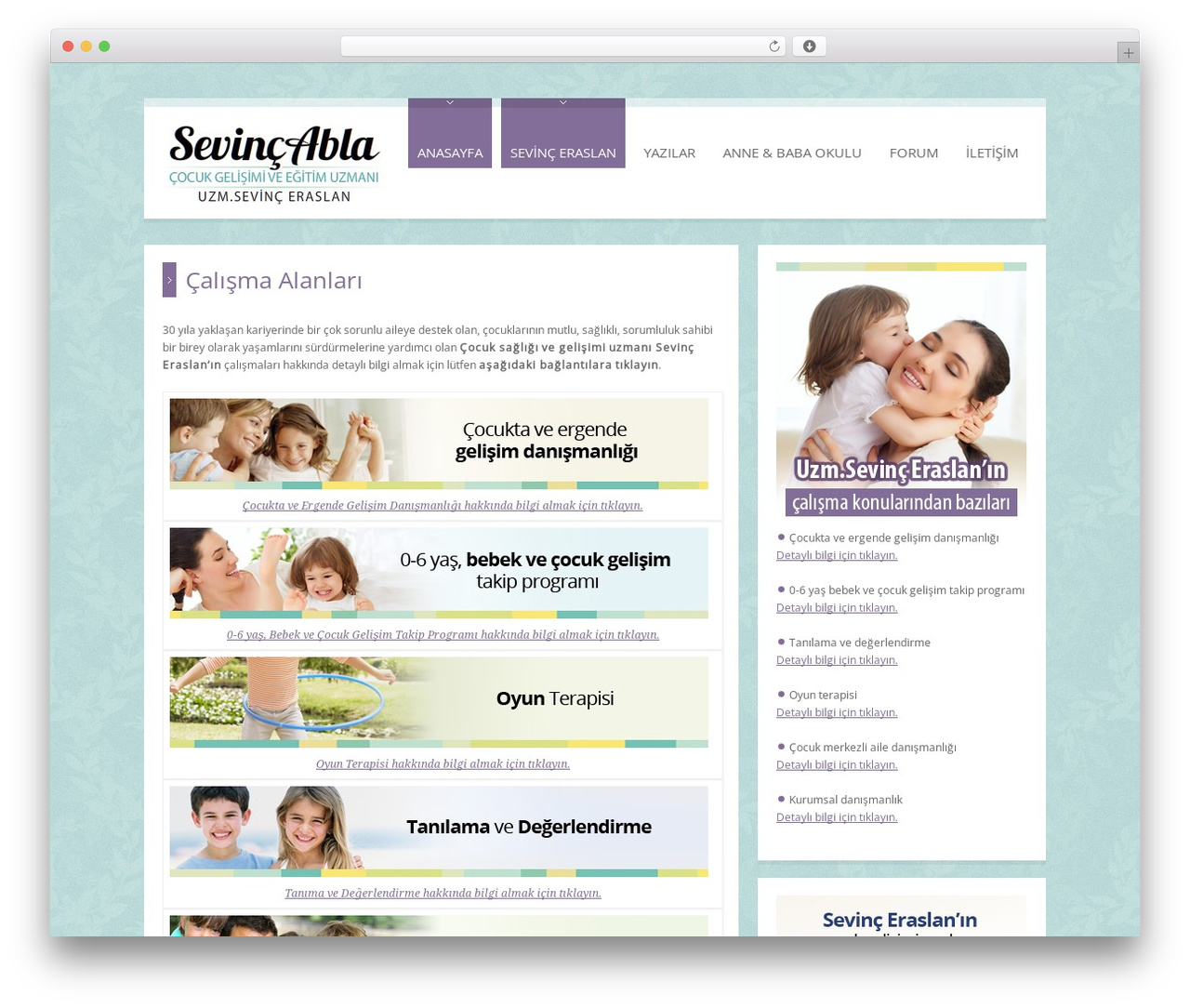 RT-Theme 17 WordPress theme - sevincabla.com