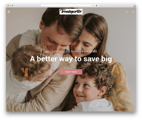 Alids WordPress plugin - trendzporter.com