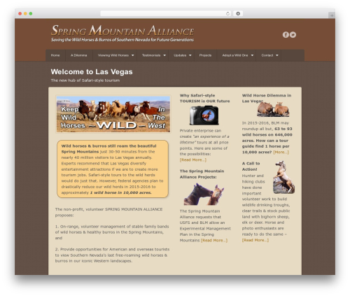 Swagger theme WordPress - springmountainalliance.org