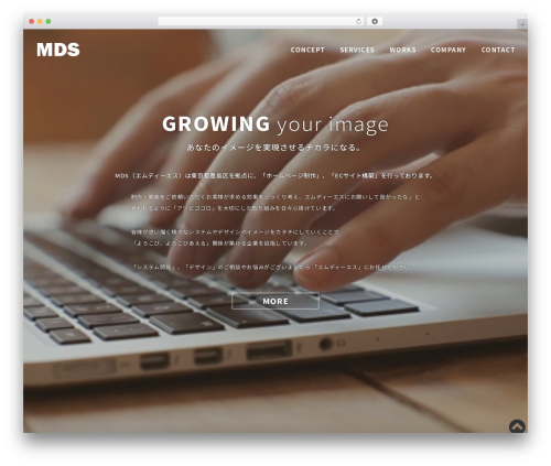 Smooth Scroll Links [SSL] (smooth-scrolling-links-ssl) free WordPress plugin - md-systems.net