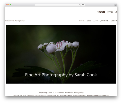 Imaginem blocks ii WordPress plugin - sarahcookphotography.co.uk