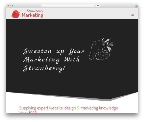 Divi WordPress theme - strawberrymarketing.com