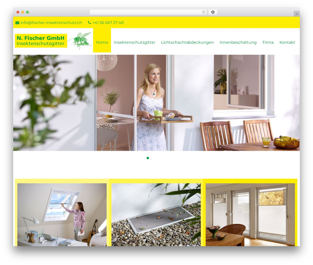 WordPress theme Spirited Pro - fischer-insektenschutz.ch