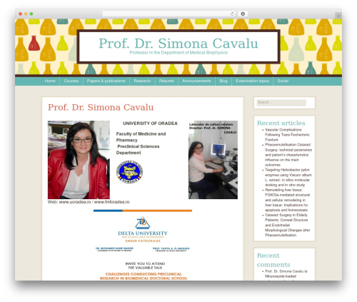 WordPress website theme Patchwork - simonacavalu.ro