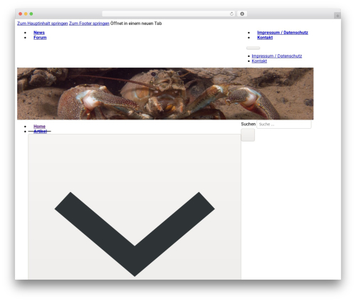 Bricksable for Bricks Builder (bricksable) free WordPress plugin - letsdive.at Bricksable for Bricks Builder (bricksable) free WordPress plugin - letsdive.at