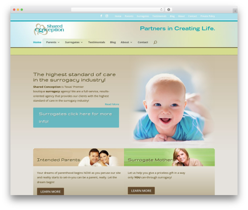Divi theme WordPress - sharedconception.com