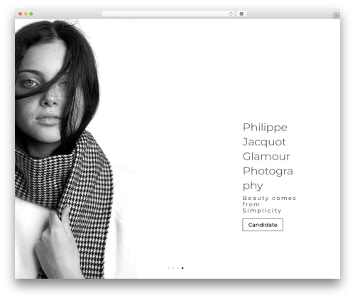Gallery showcase pro WordPress plugin - philippejacquot.com