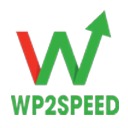 WP2Speed Faster – Optimize PageSpeed Insights Score 90-100 free WordPress plugin