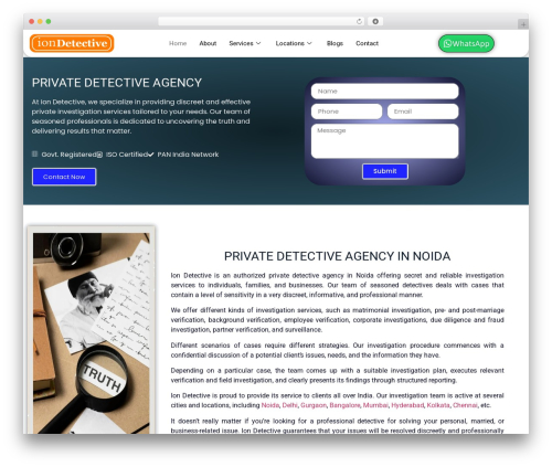 Elementorpro WordPress plugin - iondetective.com