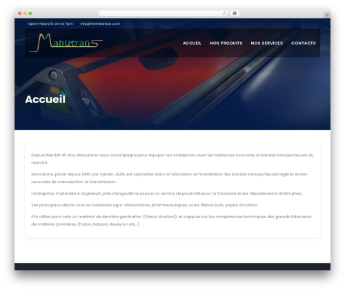 WordPress theme Busiup - manutrans.com