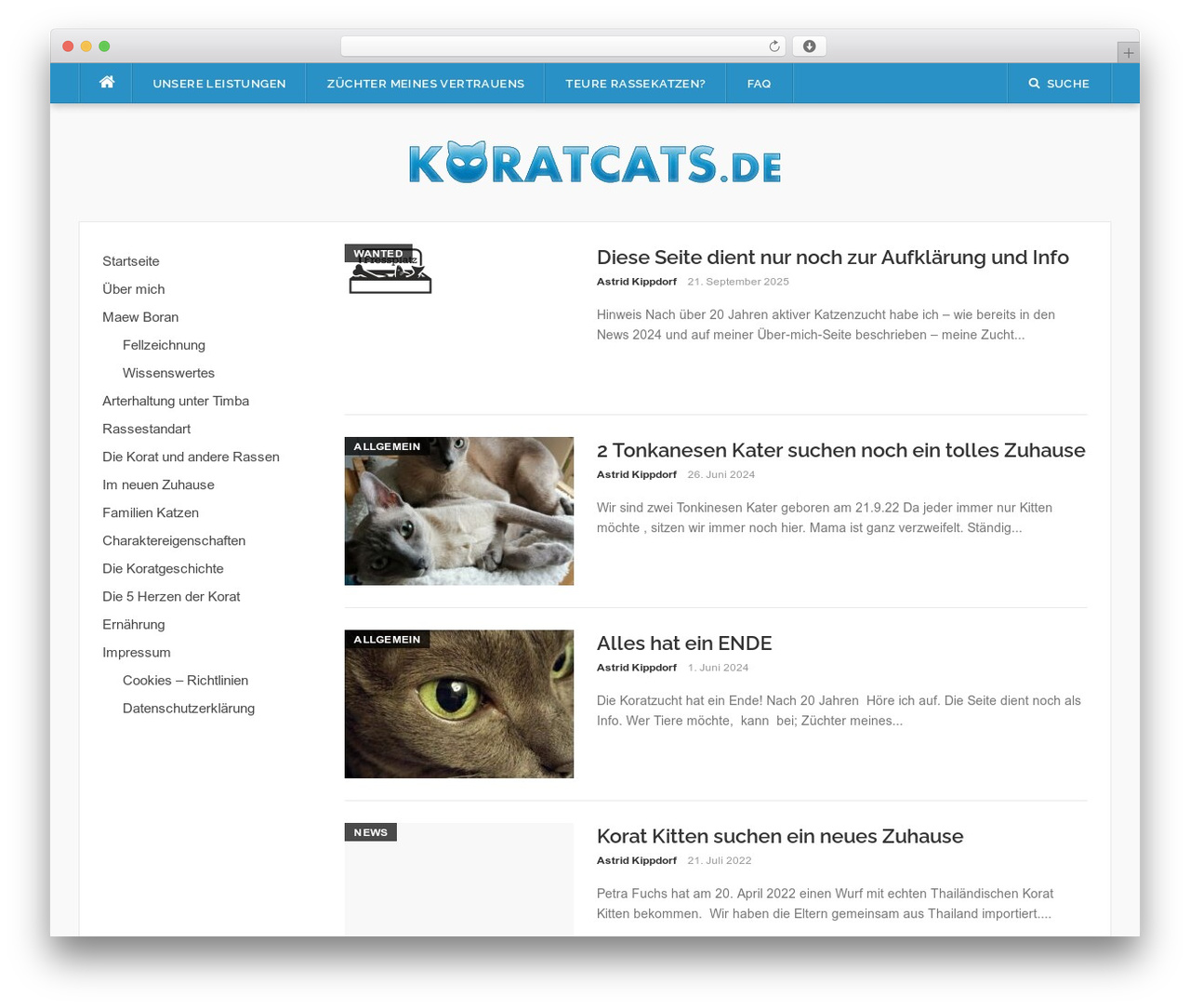 WordPress theme Codilight Lite - koratkatzen.de