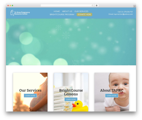 WordPress website theme Divi - triareapregnancy.org