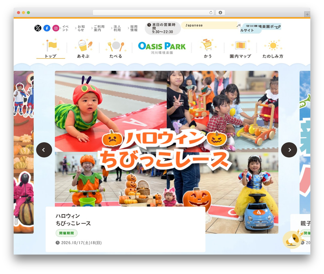 WP theme Loops スタンダードプラン - oasispark.co.jp