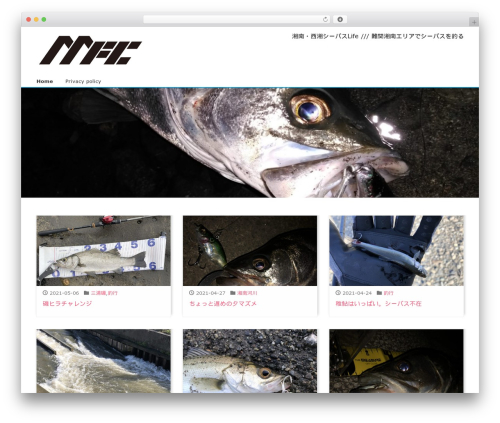 Theme WordPress Liquid - m-fishing.club