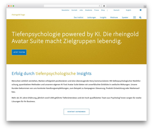 WordPress theme Akea - rheingold-marktforschung.de
