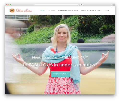 Magic action box pro WordPress plugin - taraleduc.com
