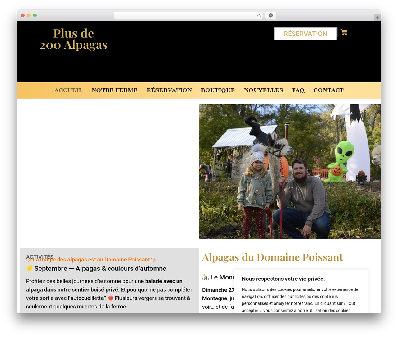 Hello Elementor theme WordPress - alpagasdudomainepoissant.com Hello Elementor theme WordPress - alpagasdudomainepoissant.com