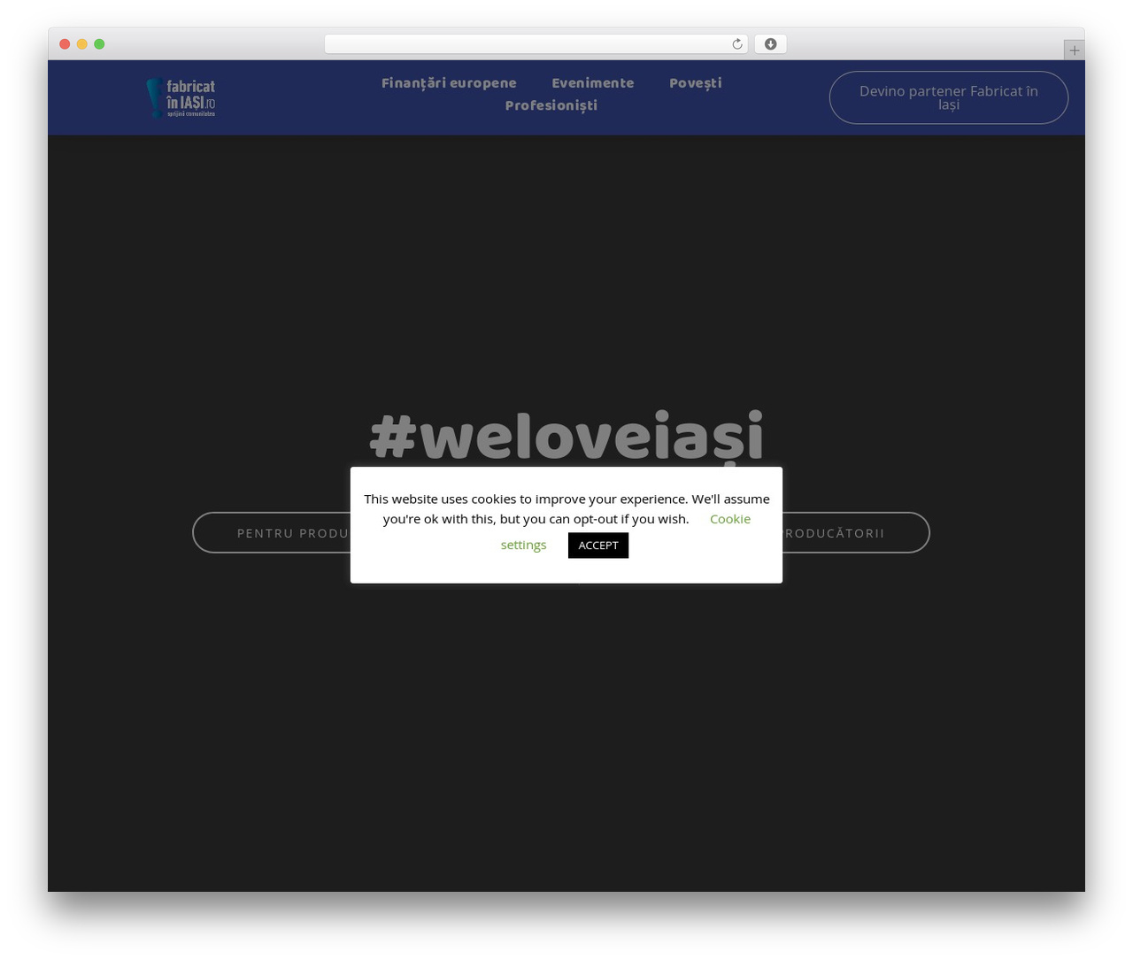 Hello Elementor WordPress theme - fabricatiniasi.ro