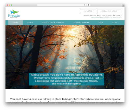 Megatheme WordPress theme - pinnacle3c.com