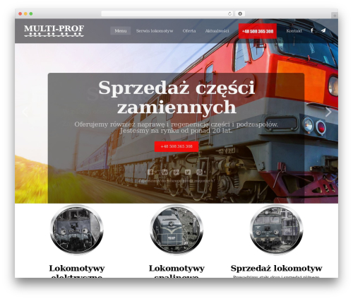Pl section boxes WordPress plugin - multi-prof.pl