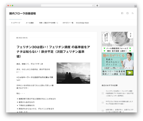 WordPress theme XeoryBase - tyou-ok.com