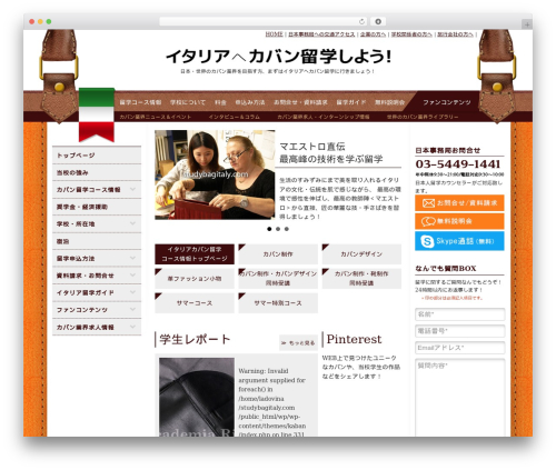 Contact form 7 localstorage WordPress plugin - studybagitaly.com
