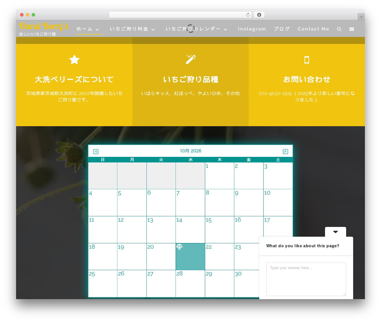 Athena Pro WordPress theme - oaraiberry.com