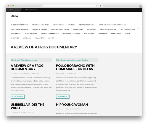 Edition WordPress theme - strew.co