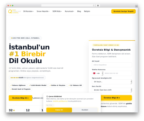 Pro WordPress plugin - sdm.com.tr