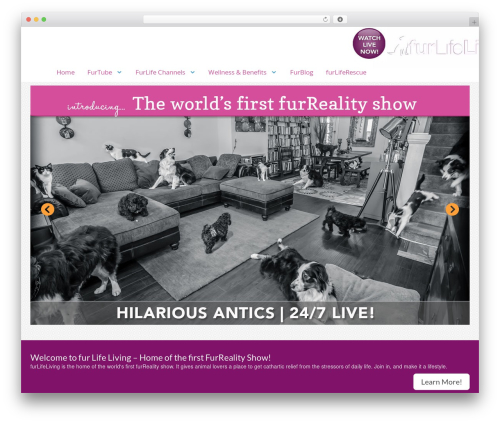 Easy Instagram (easy-instagram) free WordPress plugin - furlifeliving.com