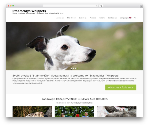Simple News (simple-news) free WordPress plugin - stabmeldys.net Simple News (simple-news) free WordPress plugin - stabmeldys.net