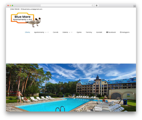 Astra WordPress theme - bluemare-u-ani.pl