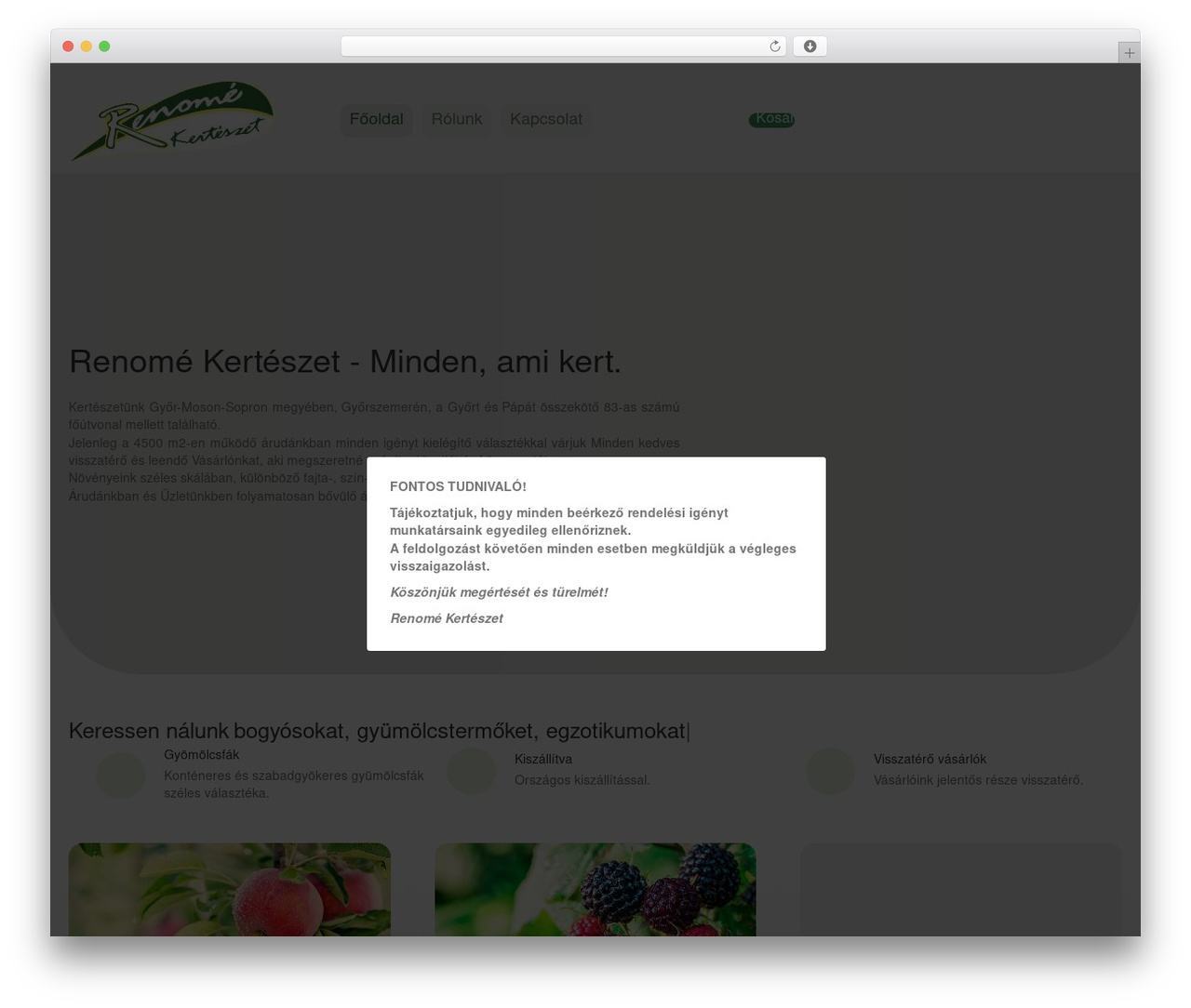Beaver Builder Theme theme WordPress - renomekert.hu
