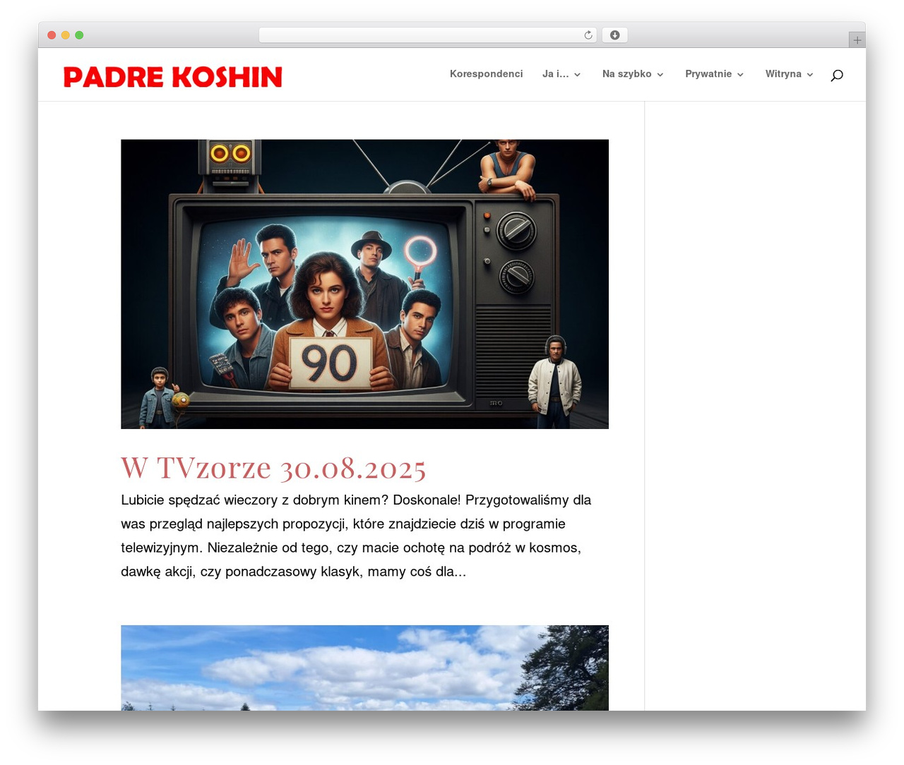 Divi WordPress theme - koshin.info