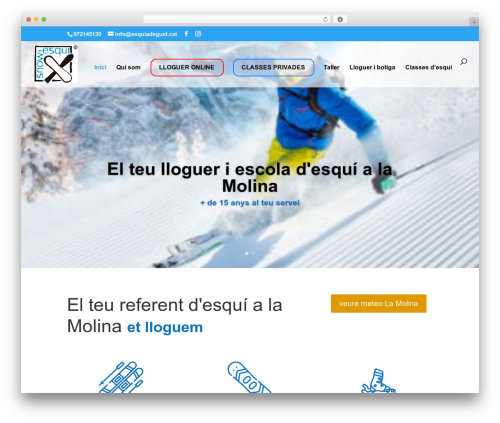 Divi upload icons awb WordPress plugin - esquiadegust.cat