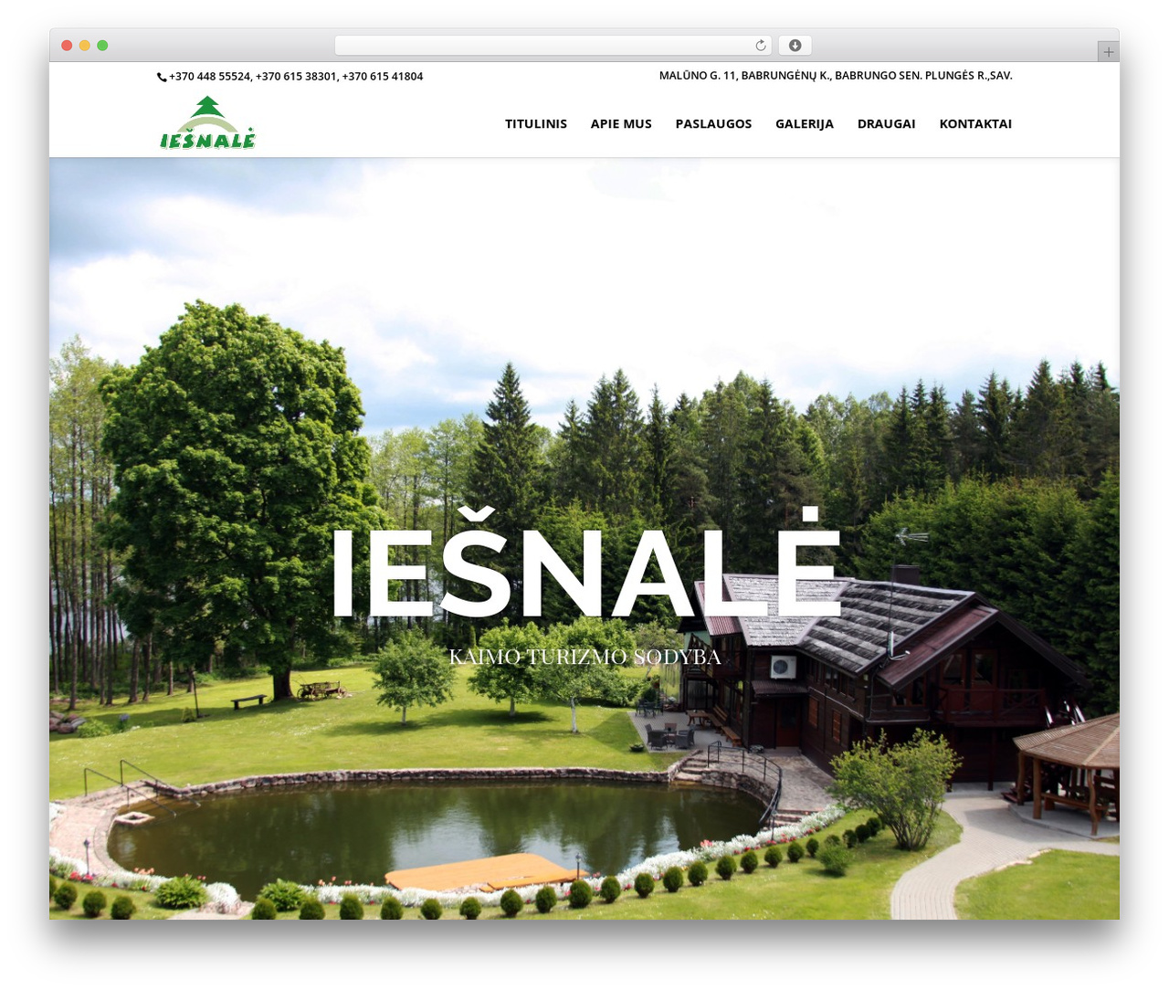 Divi WordPress theme - iesnale.lt Divi WordPress theme - iesnale.lt