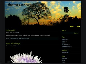 Evening WordPress blog theme by Wonder