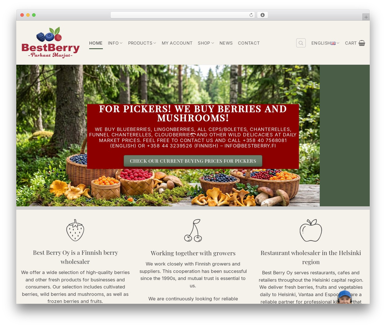 Flatsome theme WordPress - bestberry.fi Flatsome theme WordPress - bestberry.fi