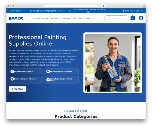 Disco WordPress plugin - baazpaintingsupplies.com.au