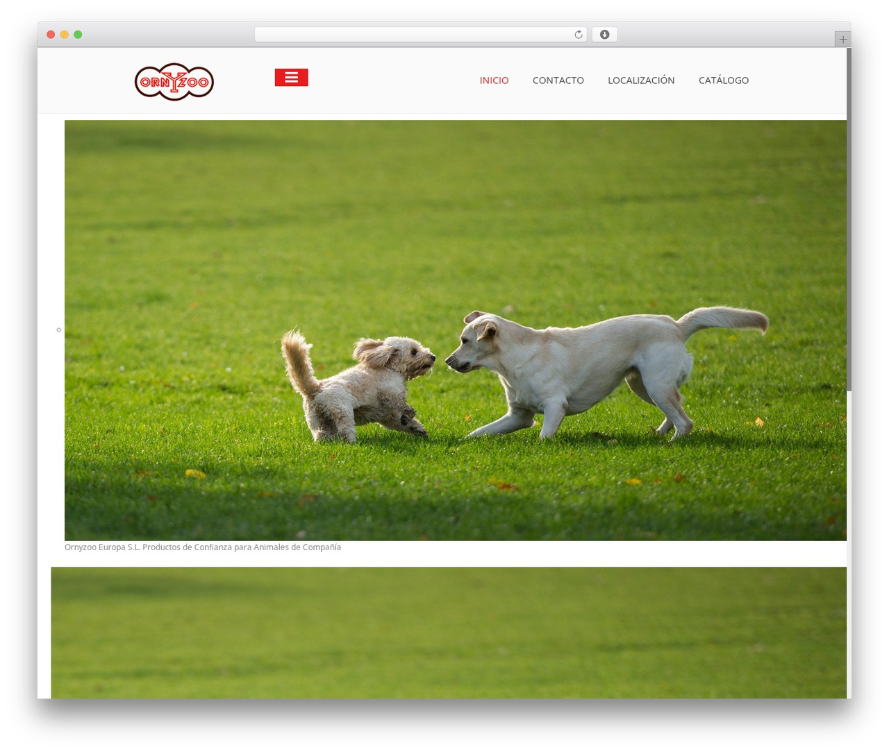 IDStore - Responsive WordPress Theme WordPress ecommerce theme - ornyzoo.com IDStore - Responsive WordPress Theme WordPress ecommerce theme - ornyzoo.com