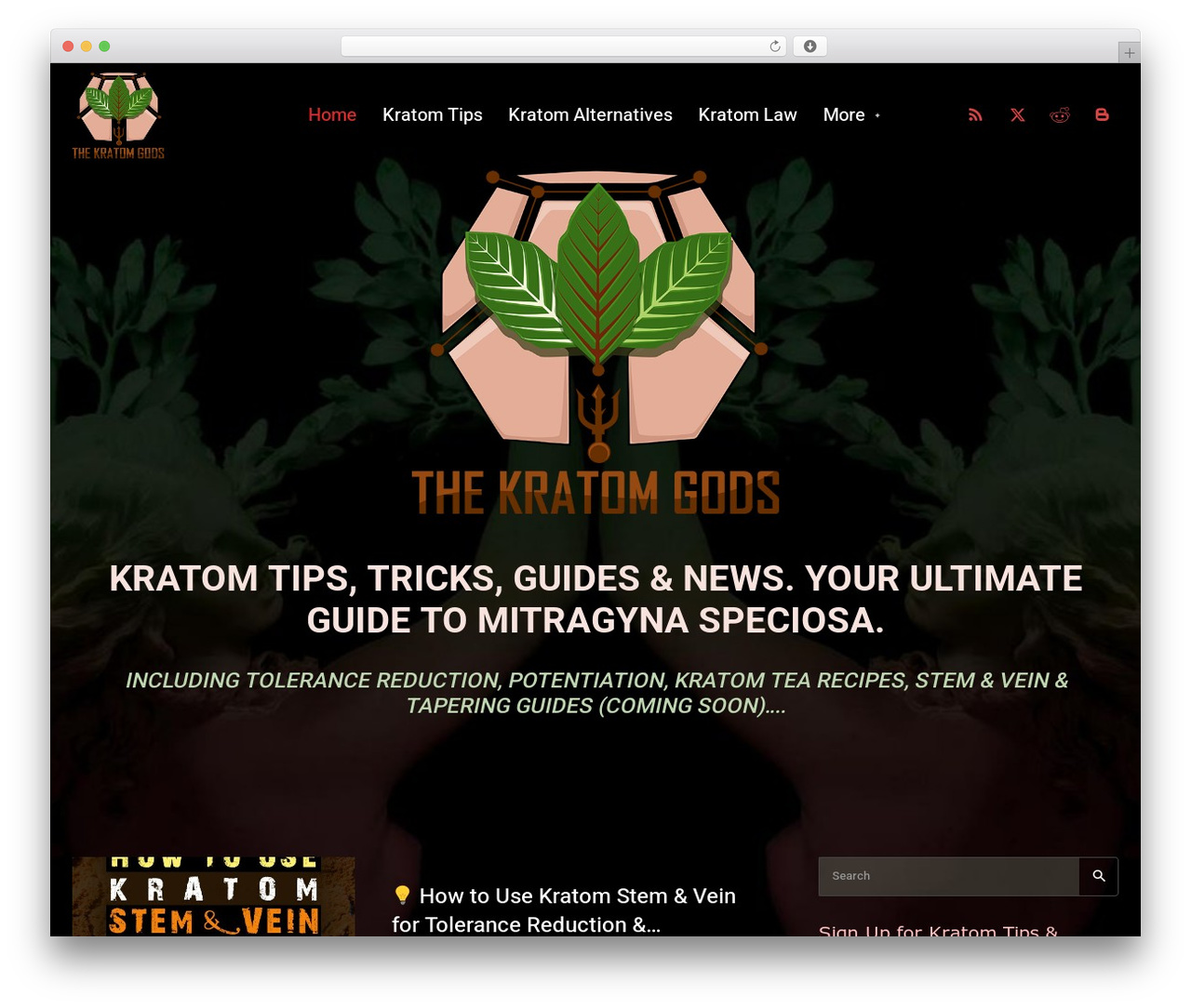 Newspaper Child theme WordPress theme - thekratomgods.com Newspaper Child theme WordPress theme - thekratomgods.com
