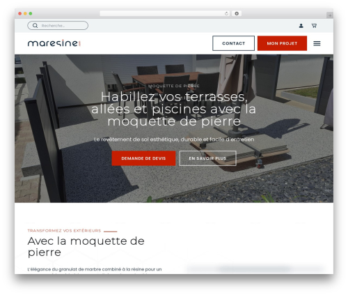 Starter Template WordPress theme - www.maresine.com