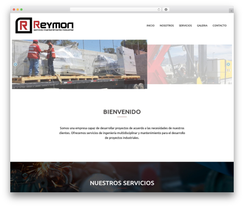 Slider master WordPress plugin - reymongroup.com