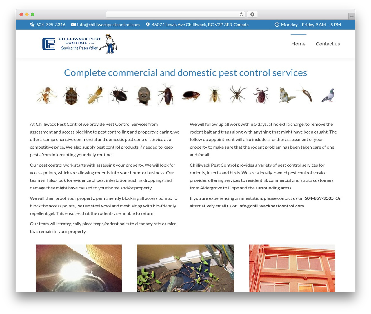 The7 theme WordPress - chilliwackpestcontrol.com