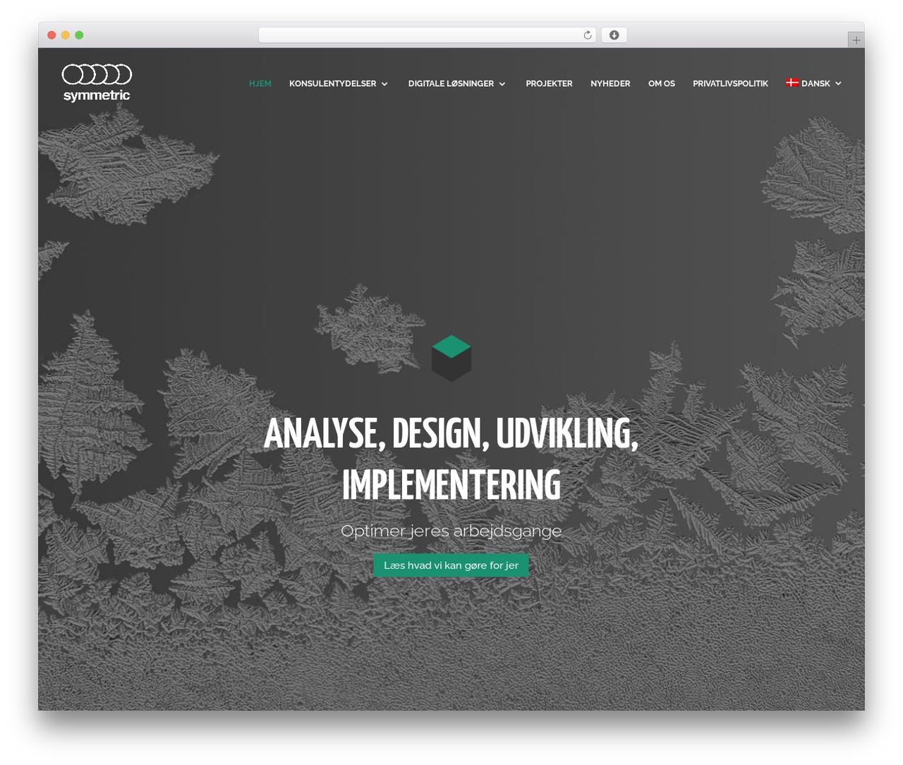 Theme WordPress Divi - symmetric.dk