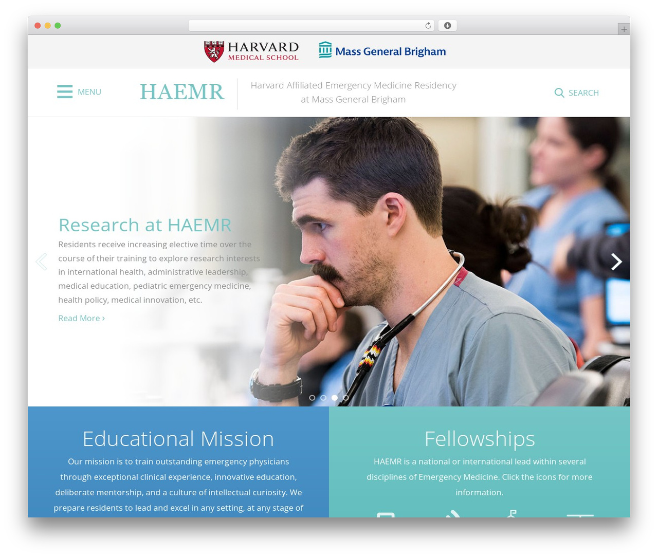 Theme WordPress HAEMR - haemr.org Theme WordPress HAEMR - haemr.org